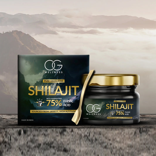Og Wellness Pure Himalayan Shilajit Resin (20 Gm 1 Pc)